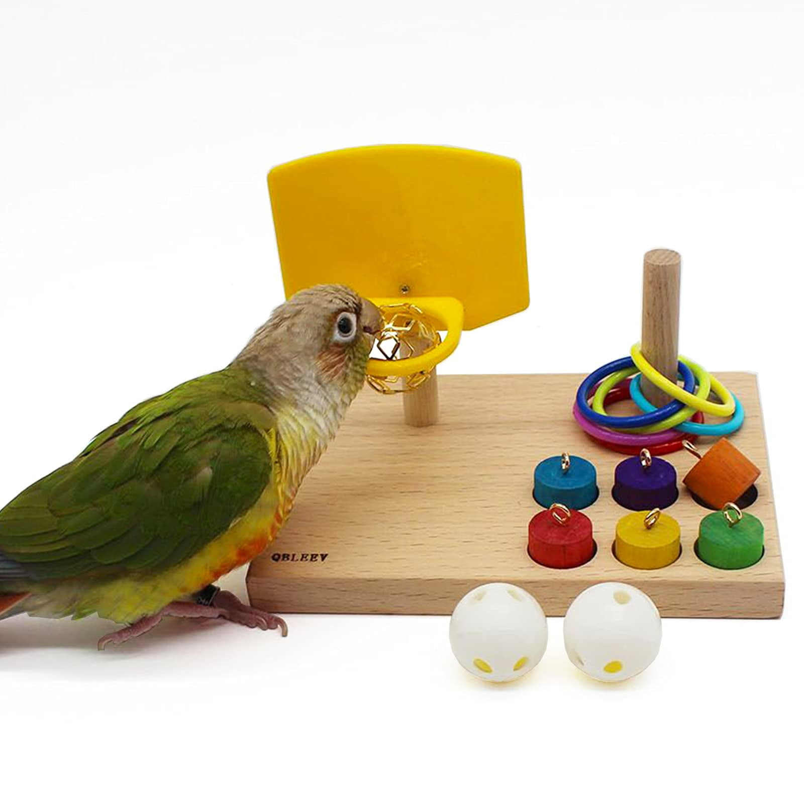 bird toy store