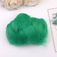 thumbnail image 1 of Fiogavroetic 100pc Colorful Feathers 6-12 Cm In Small Feather DIY Decoration, 1 of 2