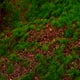 thumbnail image 3 of Césped artificial, musgo falso, adorno artesanal para jardín, decoración de musgo DIY, 3 of 8