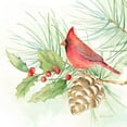 thumbnail image 3 of Coulter, Cynthia 12x12 Black Modern Framed Museum Art Print Titled - Winter Birds IV Cardinal, 3 of 5