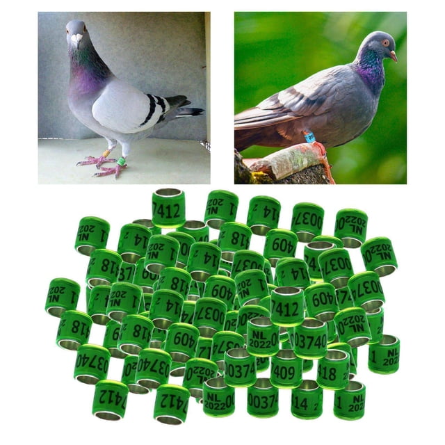 Xingzhi 100Pcs 2022 Aluminium Dove Racing Pigeon Foot Rings Bands 8mm Grass Green