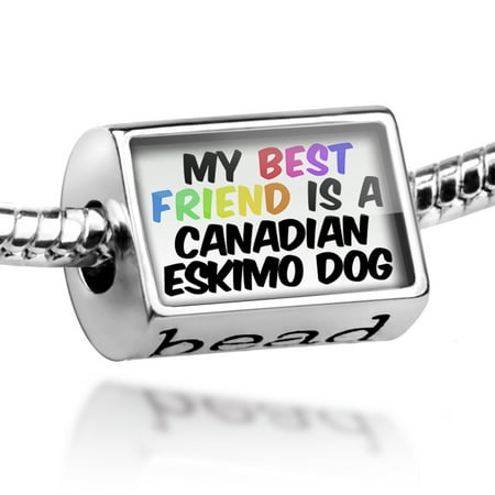 Bead My best Friend a Canadian Eskimo Dog from Canada Charm Fits All European