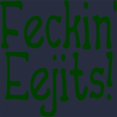 thumbnail image 3 of CafePress - Feckin' Eejits! - Kids Hooded Sweatshirt, Classic Hoodie, 3 of 4