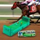 thumbnail image 5 of Juegos de mesa clásicos Juego de escritorio electrónico Máquina de carreras de caballos con motor alimentada Juguete Fiesta Familiar Interactiva, 5 of 9