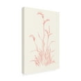 thumbnail image 2 of Trademark Fine Art 'Farm Nostalgia Flowers V' Canvas Art by Danhui Nai, 2 of 3