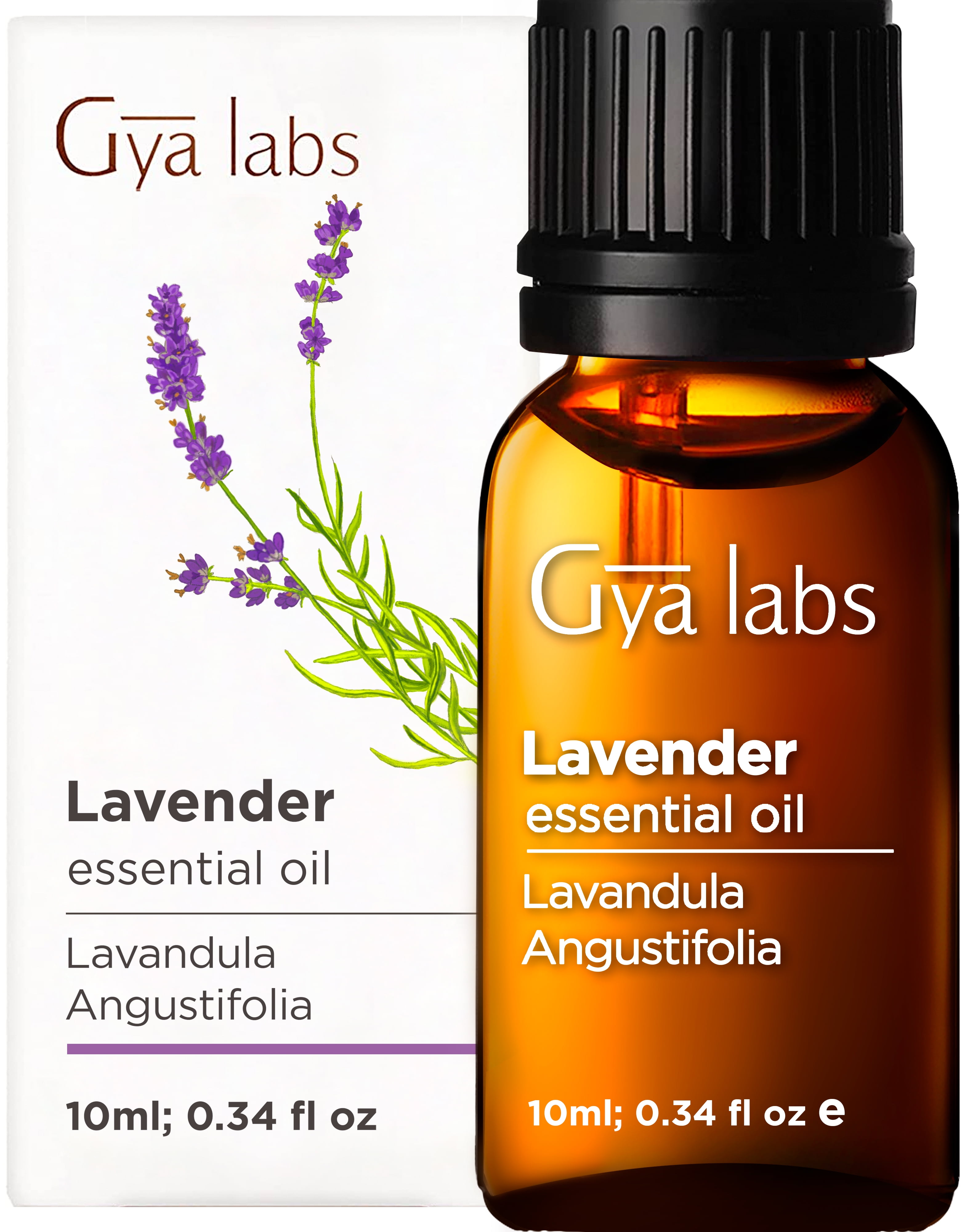 Gya Labs Lavender Essential Oil For Stress Relief Sleep And Relaxation Topical For Dry Skin And Irritation Inhale To Ease Tension 100 Pure Therapeutic Grade Lavender Oil For Aromatherapy 10ml Walmart Com