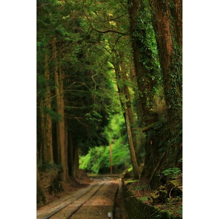 Laminated Poster Tracks Forest Dark Green Railway Woodland Way Poster Print 11 x (Best Way To Cut Railroad Track)
