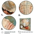 thumbnail image 3 of Designart "modern Seashell Treasures II" Animals Floater Framed Canvas Art Print, 3 of 7