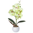 thumbnail image 1 of Potted Plant Creative Decorative Phalaenopsis Artificial Flower Silk Flower, 1 of 7