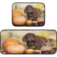 thumbnail image 7 of SKYSONIC Autumn Dachshunds Puppy Kitchen Rugs 2 Pieces, Fall Pumpkin Floor Mat Room Area Rug Washable Carpet Perfect for Living Room Bedroom Entryway, 7 of 7