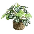 thumbnail image 2 of Eolstice Artificial Potted Plants, Assorted Mini Faux Leaf Shrub In Straw Basket, Multi Style Small Tabletop Planter, For Indoor Shelf Desk Home Decorative Planter, 2 of 6