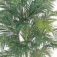 thumbnail image 5 of 7 Areca Palm Tree (Green) (84"H x 50"W x 50"D), 5 of 5