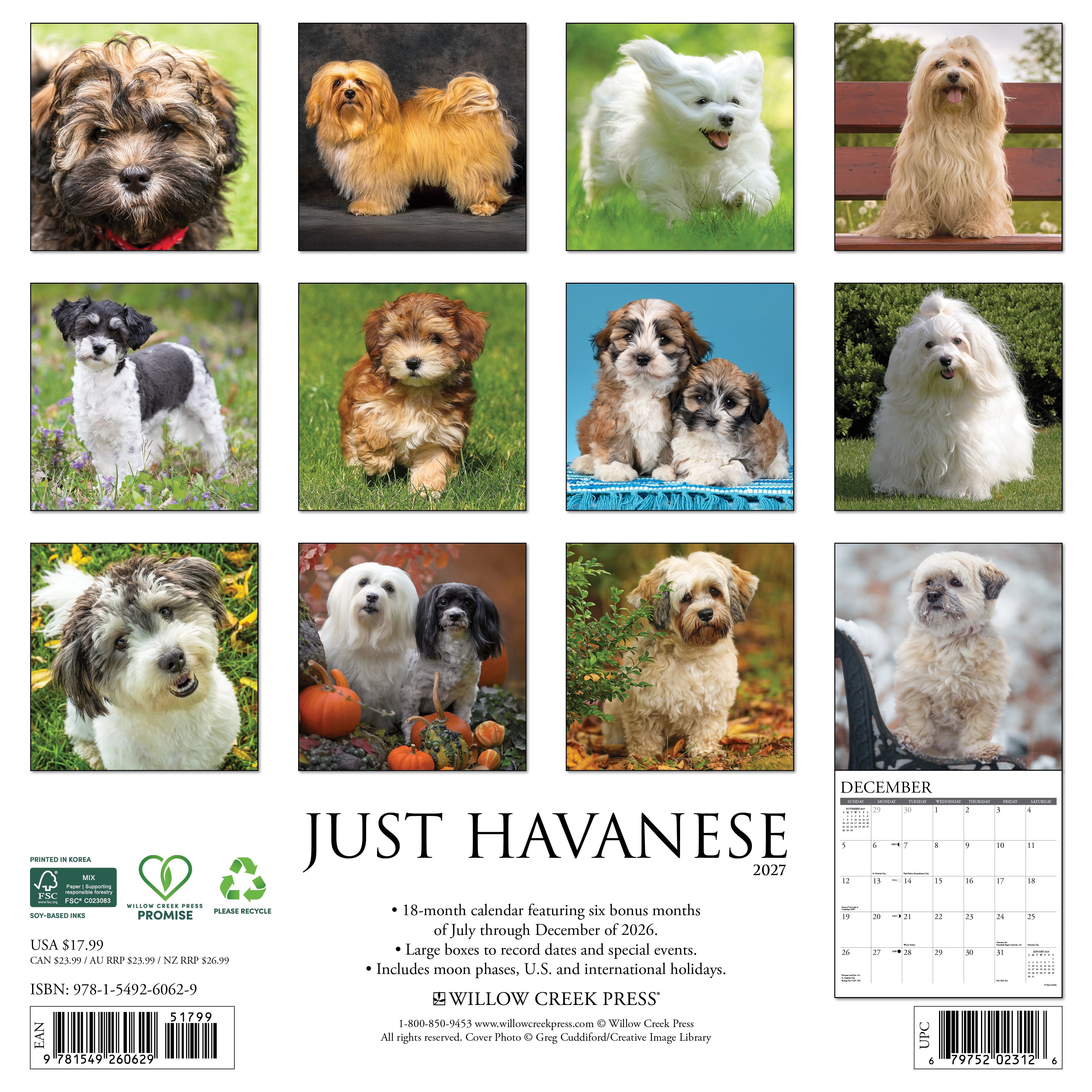 Willow Creek Press, Havanese 2027 Wall Calendar