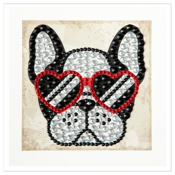 DIAMOND DOTZ® BIG DOTZ® CAMEO Cool Sunnies Diamond Painting Kit