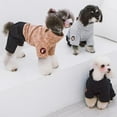 thumbnail image 7 of Touchdog Vogue Neck-Wrap Sweater and Denim Pant Outfit, 7 of 7