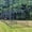 Add Net, variant on Jones-Sports EZ Up & Down 10' H x 12' W x 30' L Frame Kit Only For Batting Cage Net (Long Poles and Net not Included)