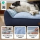thumbnail image 4 of Cama ortopédica para perro Bedsure grande con funda impermeable y lavable, 4 of 9