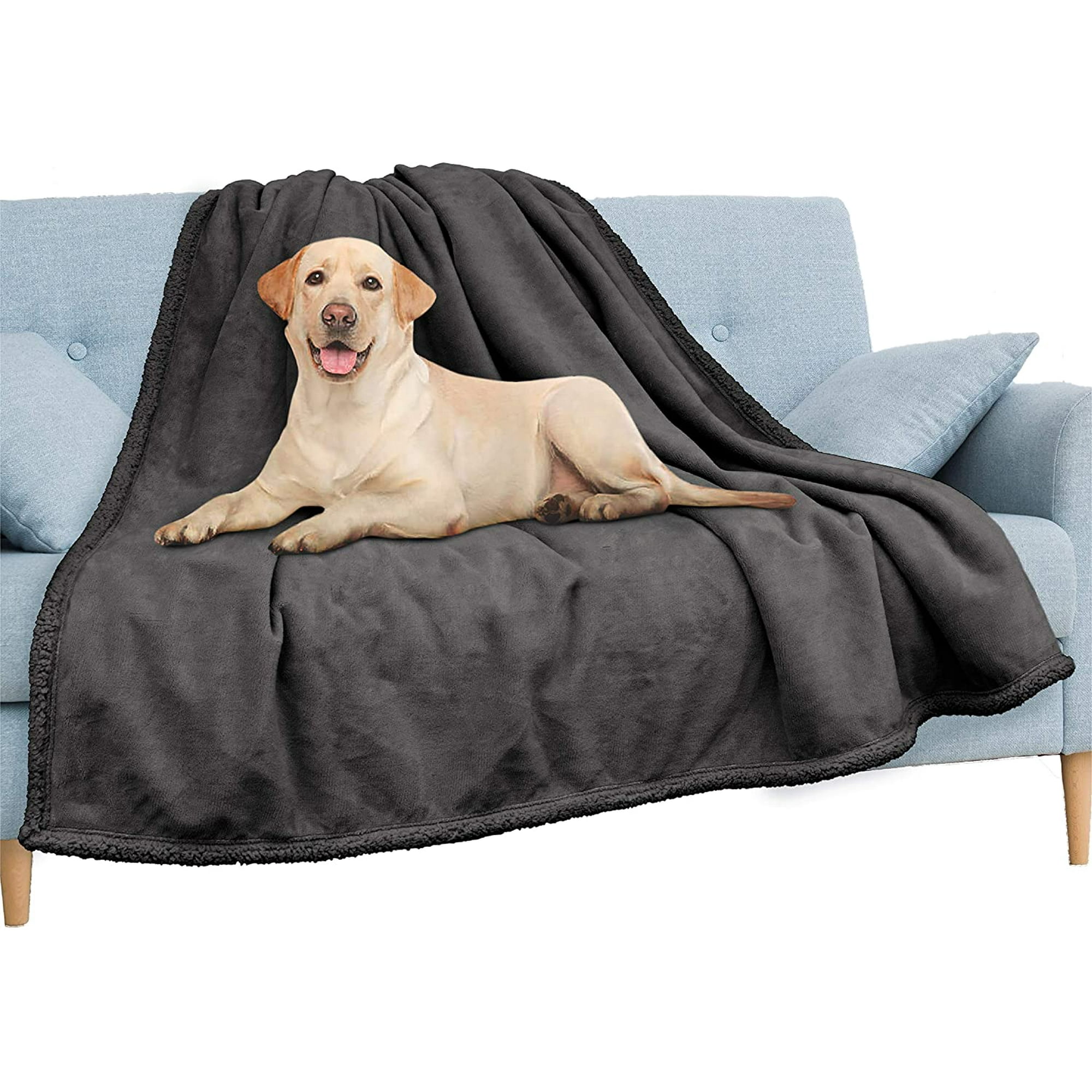 Dog sherpa blanket online
