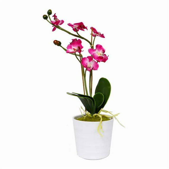 Puleo International 297-TB810 Artificial Potted Orchid