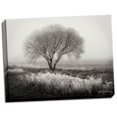 thumbnail image 2 of Gango Home Decor Tranquility I B&W by Vitaly Geyman (Ready to Hang); One 24x18in Hand-Stretched Canvas, 2 of 4