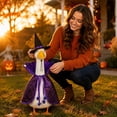 thumbnail image 6 of Nkmbld Halloween Porch Goose Decor for 23" Cement Plastic Geese Costume with Witch Hat for Fall Outdoor Garden Patio Statue Thanksgiving Decor, 6 of 7