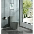 thumbnail image 6 of Holaki 15 5/8 Inch 1.1/1.6 GPF Dual Flush 1-Piece Elongated Toilet with Soft-Close Seat - Light Grey, 6 of 7