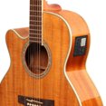 thumbnail image 2 of Pickup,Pickup Pickup Function Equalizer Pickup Built-in, 2 of 7