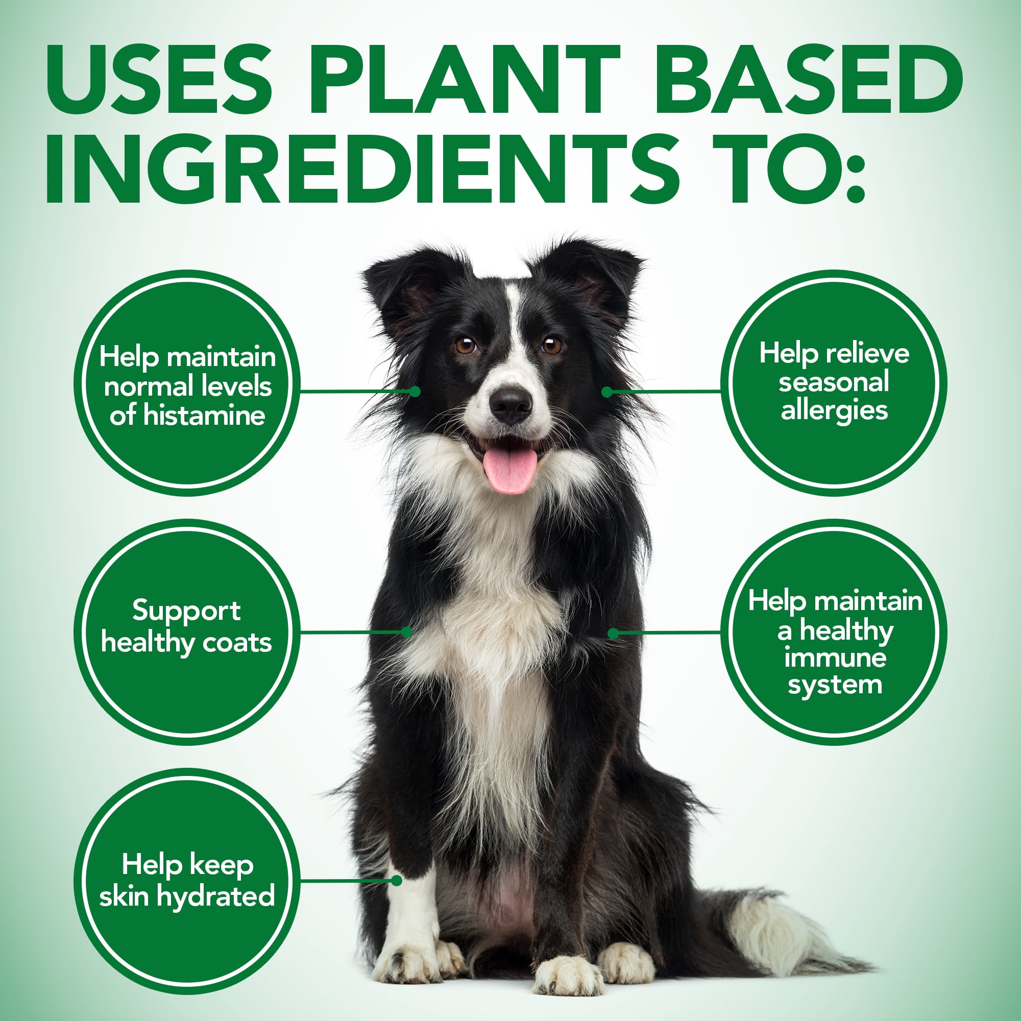 Vet's Best Healthy Coat Shed & Itch Relief Supplements for Dogs - 150 Chewable Tablets - 8oz.