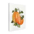 thumbnail image 4 of Trademark Fine Art 'Pumpkin and Vines I' Canvas Art by Kathleen Parr McKenna, 4 of 4