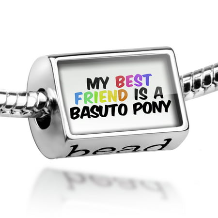Bead My best Friend a Basuto pony Basotho pony, Horse Charm Fits All European
