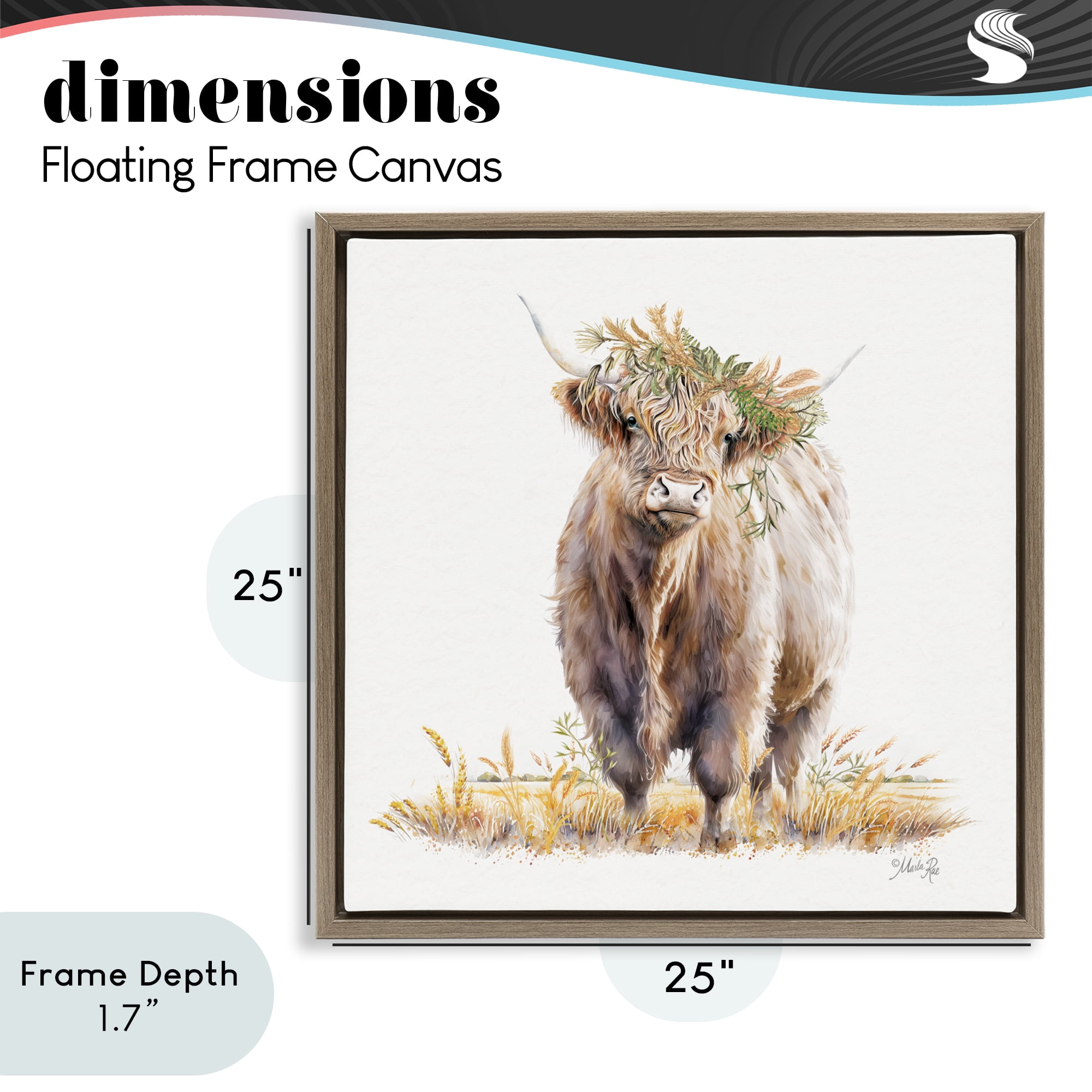 Stupell Industries Ollie the Highland Cattle Brown Framed Floater Canvas Wall Art, design by Marla Rae
