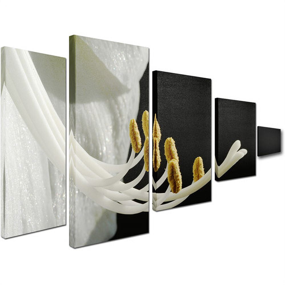 Trademark Fine Art "Intimate Amaryllis" Canvas Art Set by Kurt Shaffer, 5pc Panel Set, 58" x 34"