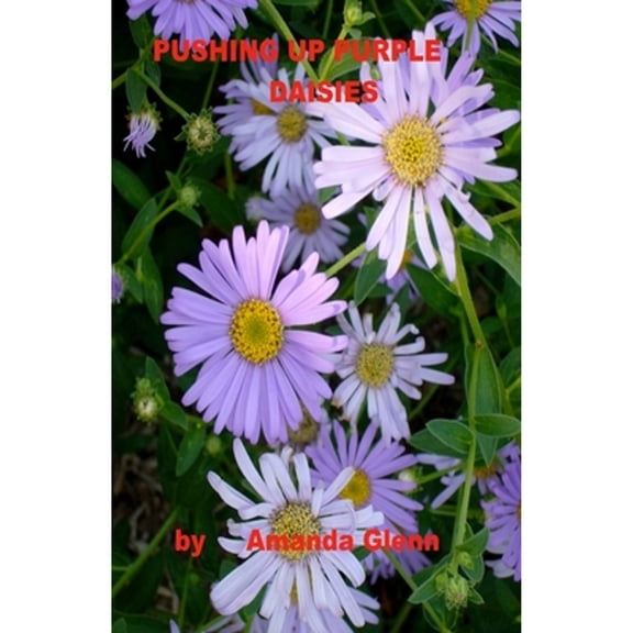 Pre-Owned Pushing Up Purple Daisies (Paperback) 1530818079 9781530818075