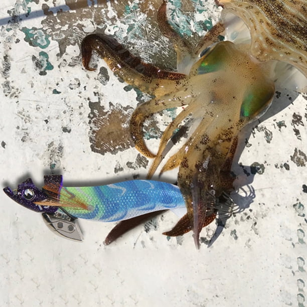 Plantillas De Camarones Cebos Plomo Ligero Plomo De Calamar Aparejos De Pesca Al Aire Libre (Azul Oscuro 20g) Sywqhk Para Estrenar