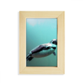 thumbnail image 1 of Sea Antarctic Penguin Creature Science Nature Desktop Display Photo Frame Picture Art Painting 5x7 inch, 1 of 3
