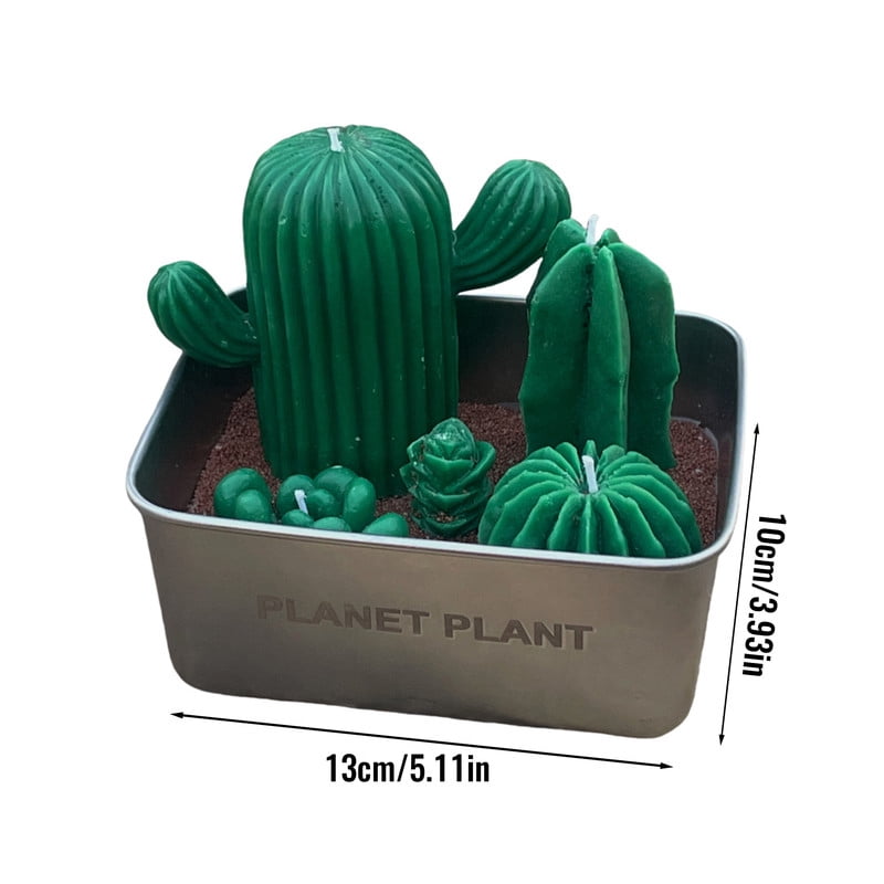 Realistic Cactus Scented Candle Gift with 4 Wick Design in Metal Base – Decorative Green Succulent Candle with Sand-Like Detail in Gift Box – Perfect for Holidays, Birthdays, Anniversaries & More
