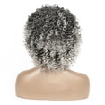 thumbnail image 6 of Lace Front Wigs Human Hair Wig Caps for Women Wig Woman African European And American Fashion Small Curly Hair, 6 of 6