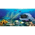 thumbnail image 1 of Biggies WM-ORF-120 Ocean Reef Wall Murals  - Each, 1 of 1