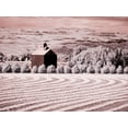 thumbnail image 2 of Eggers, Terry 14x12 Black Ornate Wood Framed with Double Matting Museum Art Print Titled - USA-Washington State-Palouse-Harvest lies in field with barn, 2 of 4