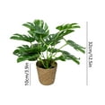 thumbnail image 3 of Btomtd 8.7" Indoor Artificial Plants, Small Fake Milan Grass with Turtle Leaves in Pot, Simulation Lilies of The Valley for Bedroom Home Decoration, Fake Plants and Fake Flowers, B, 3 of 6