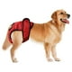 thumbnail image 1 of Bragas Pantalones fisiológicos para mascotas pantalones cortos sanitarios para menstruación de perros hembra (rojo M) Sywqhk Libre de BPA, 1 of 9