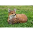 thumbnail image 1 of Fox Laying Down, 1 of 5