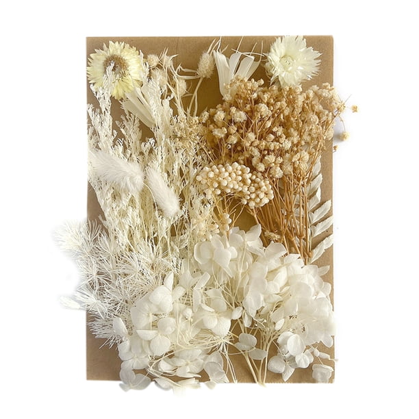 Flores Prensadas Secas Likrtyny para Moldes de Resina A5 Vela Bricolaje
