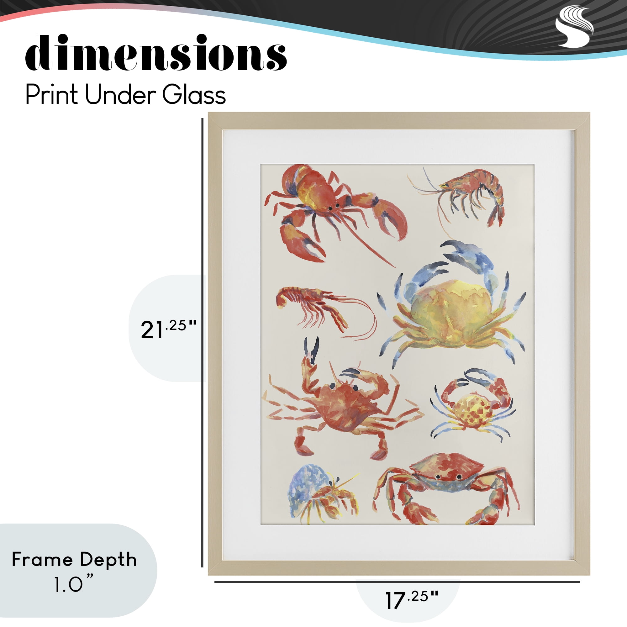 Stupell Industries Crab & Crustacean Collection Birch Framed Print Under Glass, design by June Erica Vess