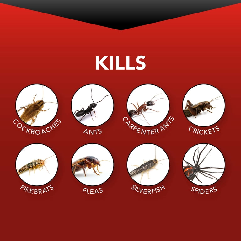 Eliminator Ant, Roach & Spider Killer Aerosol Spray, Twin Pack photo 2