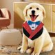 thumbnail image 4 of Formal perro esmoquin boda perro bandana collar perro collar con pajarita ajustable perro pajarita collar bandana, 4 of 5