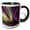 Black/White, variant on 3drose, Aurora Borealis, Northern Lights, Near Fairbanks, Alaska, 15oz Two-tone Black Mug
