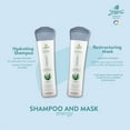 thumbnail image 3 of Naissant Professional Energy Hair Treatment . Hair Growth Accelerator and Strengthener - Shampoo/Mask/Argan Oil Bundle, 3 of 16