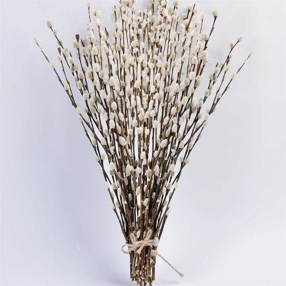 20 Pack Natural Preserved Dried Pussywillow Branches,Snow Pussy Willow,Real Dried Flowers with White Buds,Vase Fillers & Decorative Branches,for Home DIY Floral Wedding Party Decor 16"