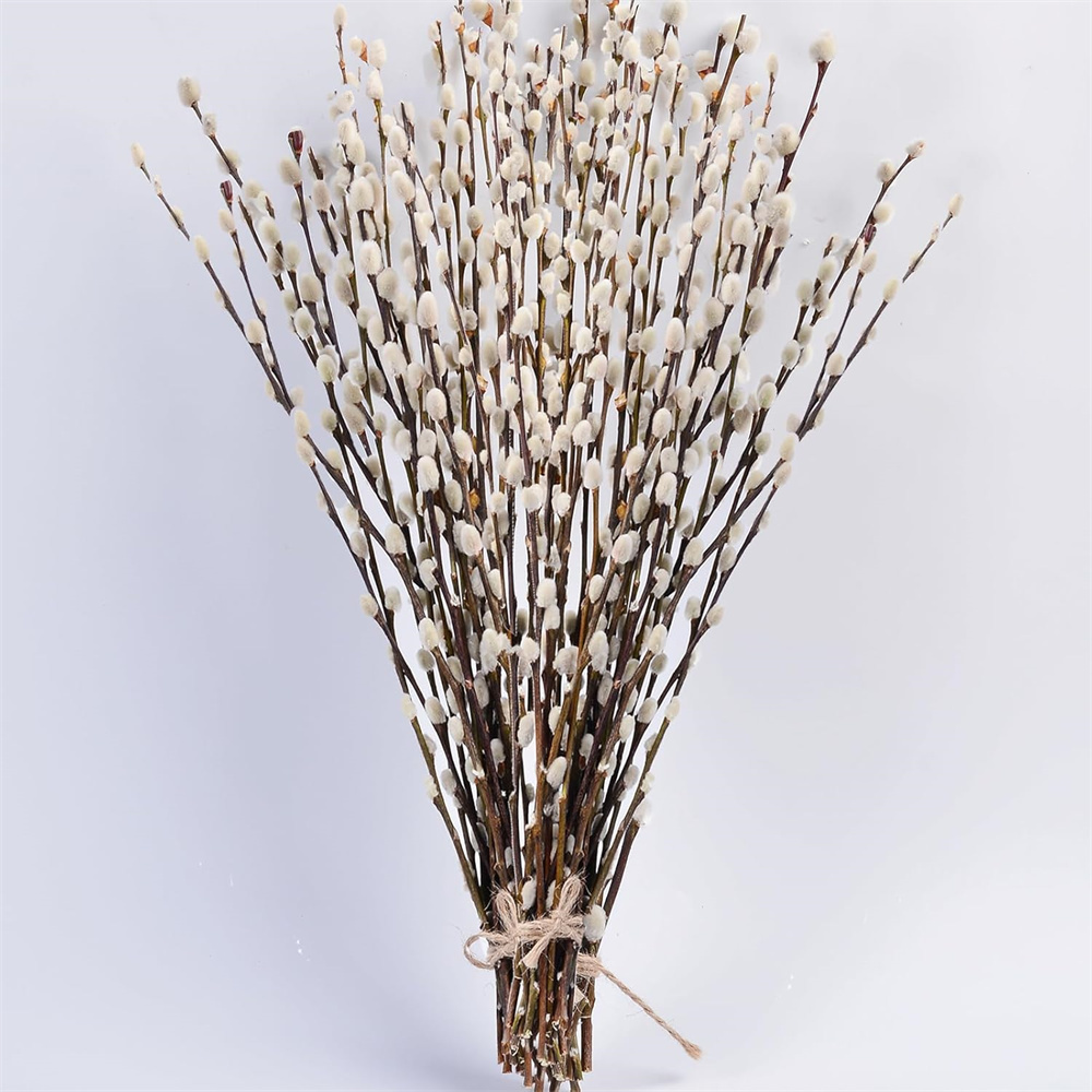20 Pack Natural Preserved Dried Pussywillow Branches,Snow Pussy Willow,Real Dried Flowers with White Buds,Vase Fillers & Decorative Branches,for Home DIY Floral Wedding Party Decor 16"